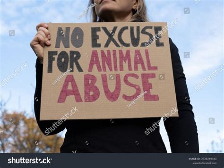 Court documents, photos, reveal details of animal neglect