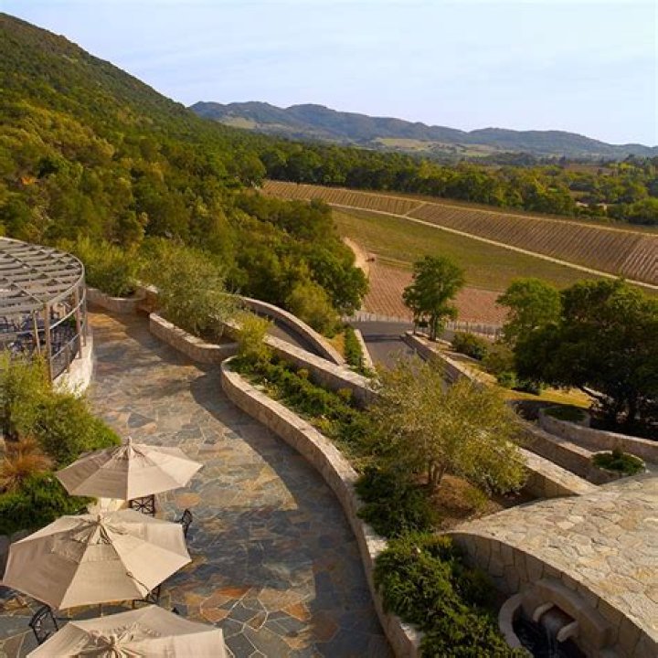 Creekside Vineyards owner shares history of winery