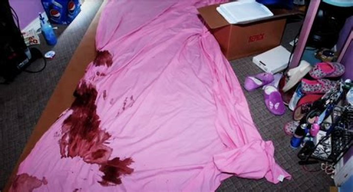 Crime Scene Photos Of Gypsy Rose's Mom: An In-Depth Exploration