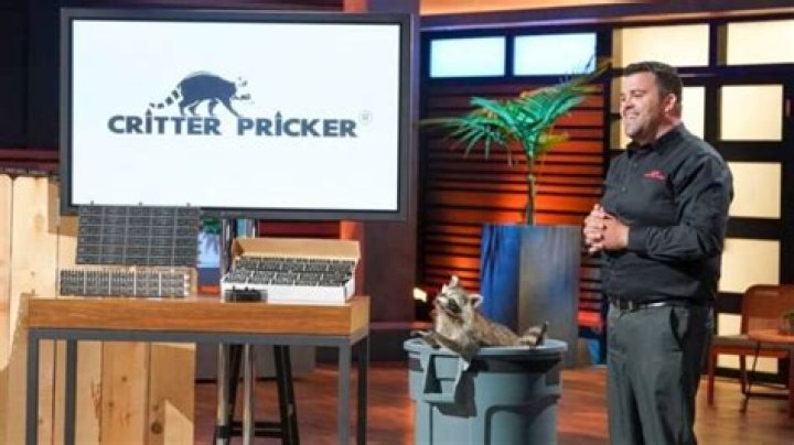 Critter Pricker on Shark Tank: Where to buy it and what makes it special