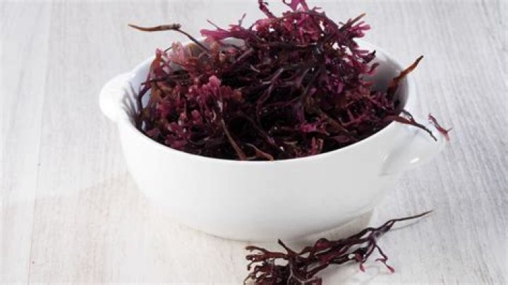 Dangerous Side Effects of Sea Moss That You Need to Know