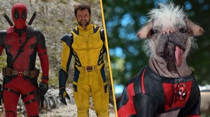 Deadpool 3: Dogpool Celebrates Completing Filming