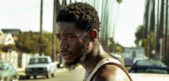 Did Franklin Die? What Happens to Him at the End of Snowfall?