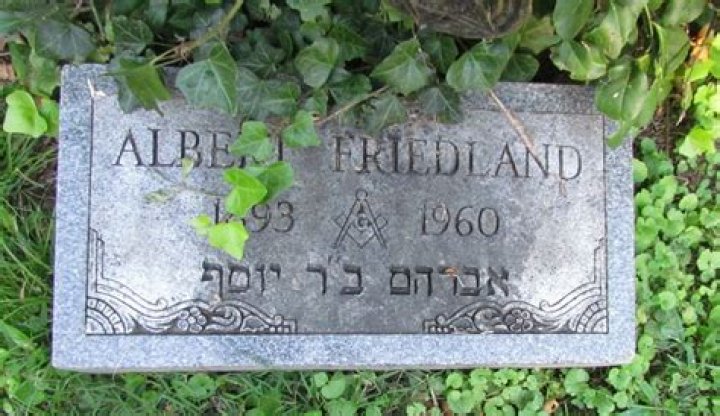 Discovering Albert Friedland: Age, Biography, And Insights