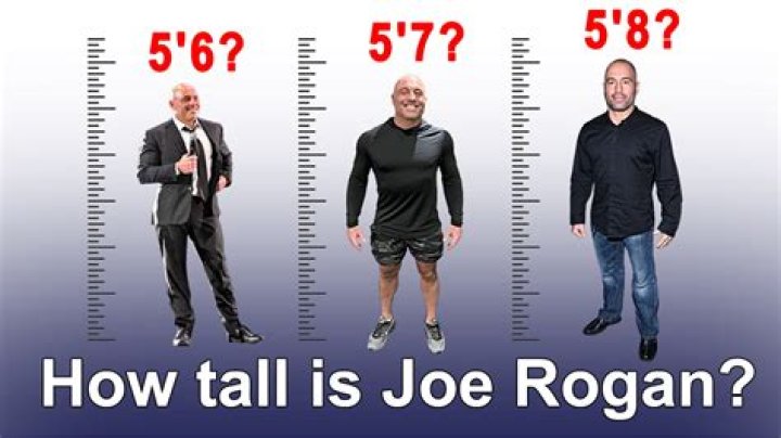 Discovering Joe Rogan's Height: Insights Into The Life Of A Multi-Talented Icon
