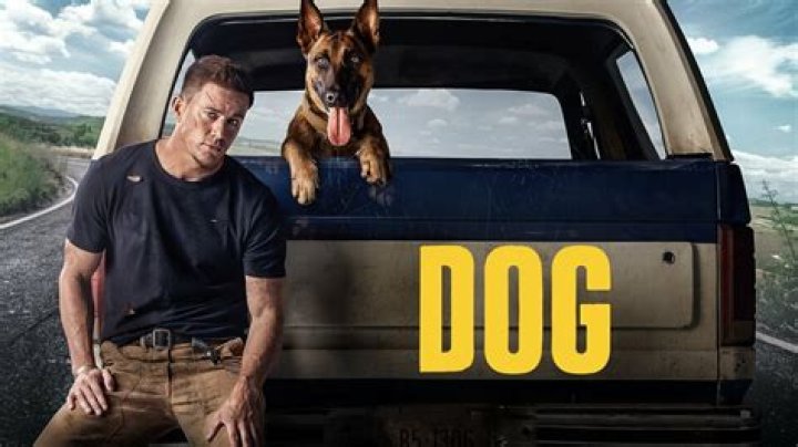 DOG Movie (2022): Cast, Actors, Producer, Director, Roles and Rating