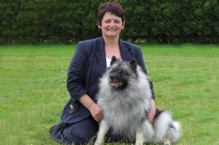 Dog-owner’s benefit fraud exposed after briskly trotting her pedigree pooch at Crufts – The Sun
