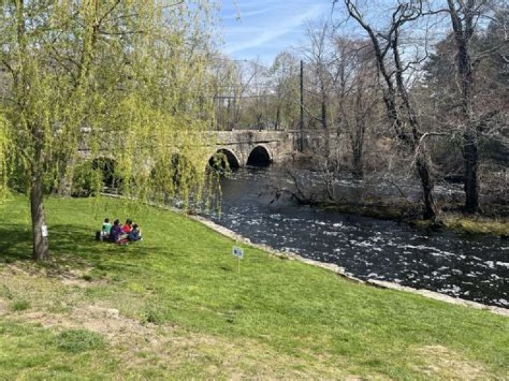 Douglas Park changes unveiled