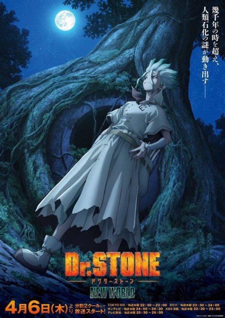 Dr. Stone Season 3 Episode 23: Is it happening? Has the season ended? Here's what to expect next