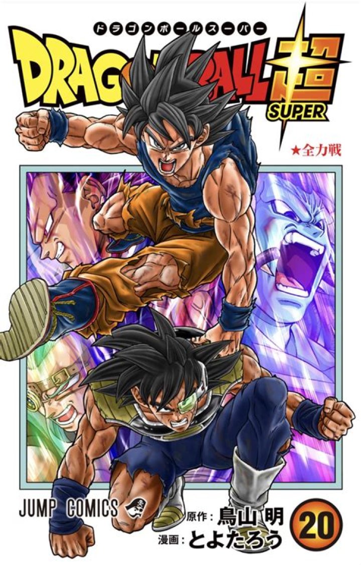 Dragon Ball Super Manga Break Announced