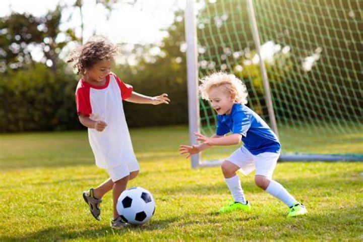 Echo the duck loves to play football after being taught by her owner at 10 weeks old