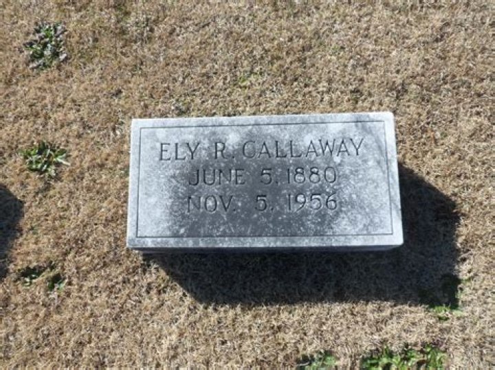
Ely Reeves Callaway
Net Worth
