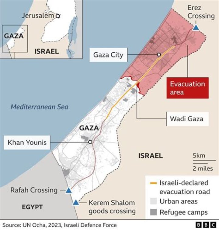 Erez Israeli Net Worth (2024) | wallmine