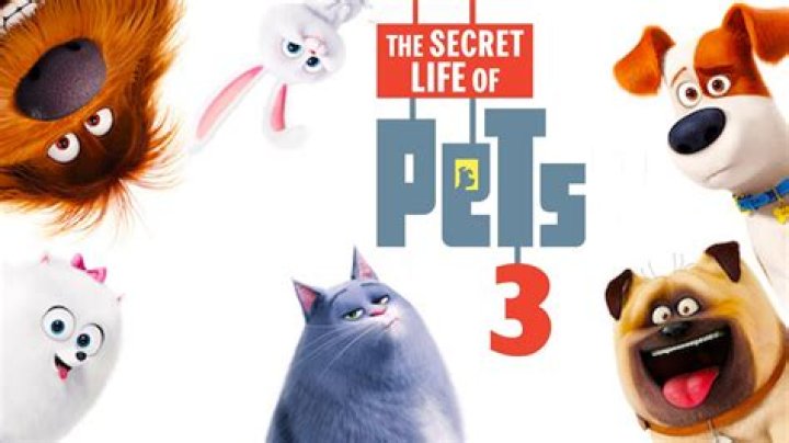 Everything We Know About The Secret Life of Pets 3