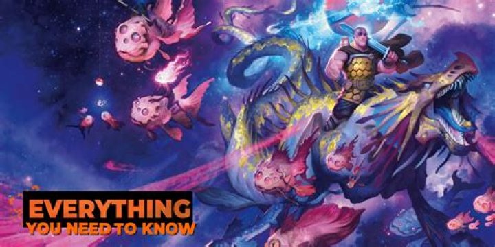 Everything You Need To Know About