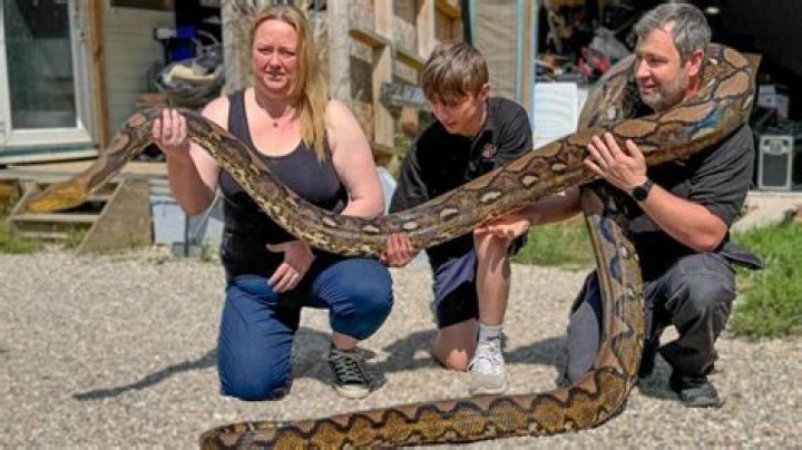 Family given shock of their lives when 5ft SNAKE slithers into their Scunthorpe garden