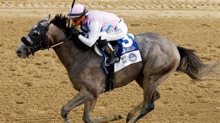Fast horse racing results: Who won the 8.05 at Newcastle live on ITV TODAY?
