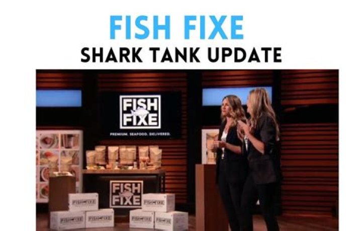 Fish Fixe Shark Tank Update: Where Are They Now?