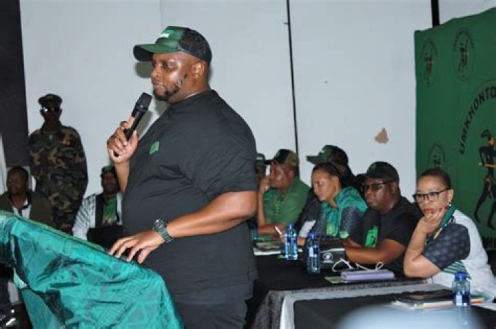 Floyd Shivambu Net Worth 2024
