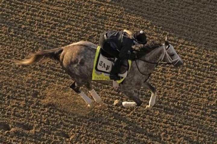 Forte, Derma Sotogake among Kentucky Derby horses to watch