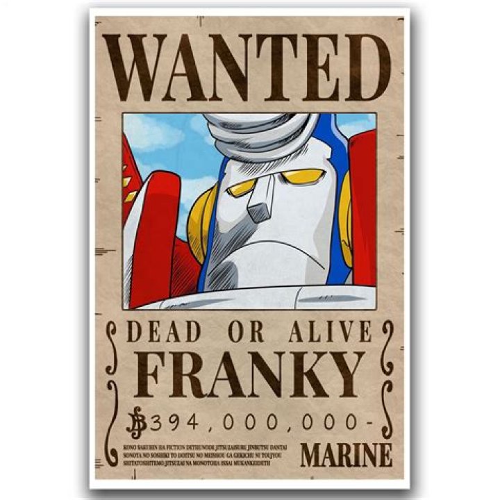 Franky’s New Bounty Revealed: A Surprising Wanted Poster!