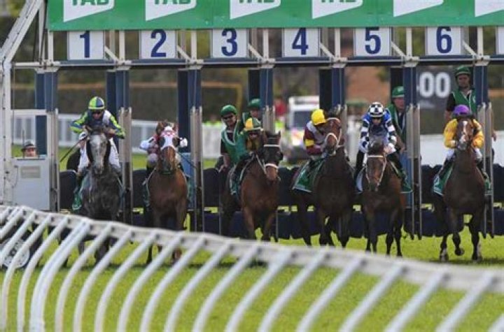 Friday's racing tips: Three longshots to fill your pockets at Ascot and Newcastle