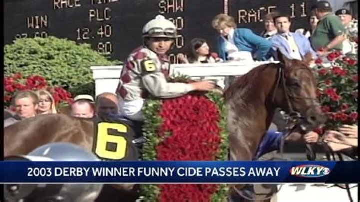 Funny Cide Obituary – Death: 2003 Kentucky Derby and Preakness Winner, Funny Cide Dies At 23