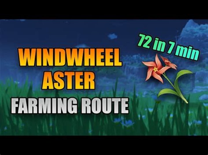 Genshin Impact Guide - Where to Farm Windwheel Aster
