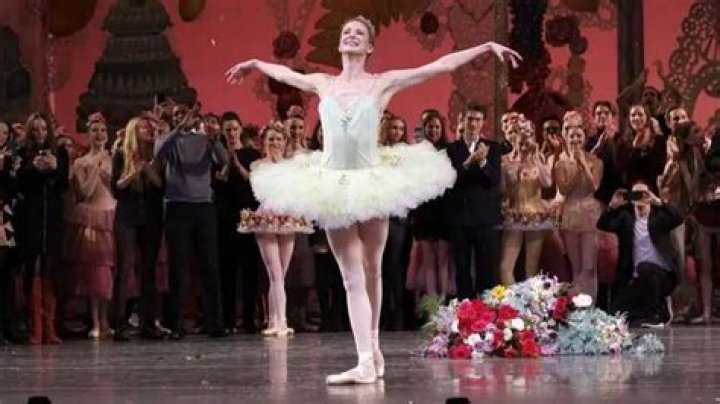 German ballet director fired over feces attack on critic
