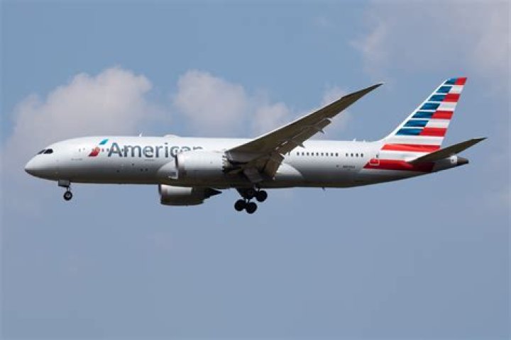 ‘Get the Captain Out Here’: Unruly American Airlines Passenger Lifted Up and Placed Back In His Seat After Pinning Flight Attendant Against Cockpit Door During Dispute Over Meal Options