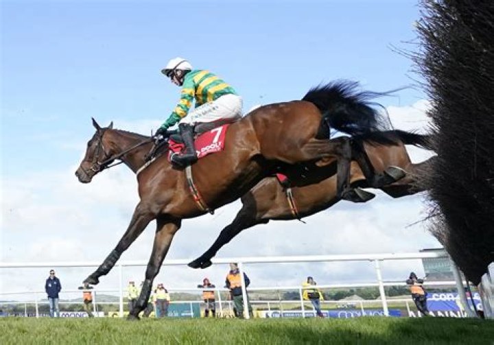 Get The Favourite on Boxing Day for the best coverage of the King George VI Chase at Kempton in The Sun