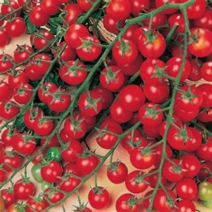 
Gmo Australasia LLC (Boston)
