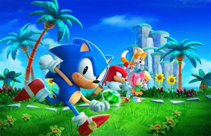 Google Sonic the Hedgehog Video Game For a Fun Surprise
