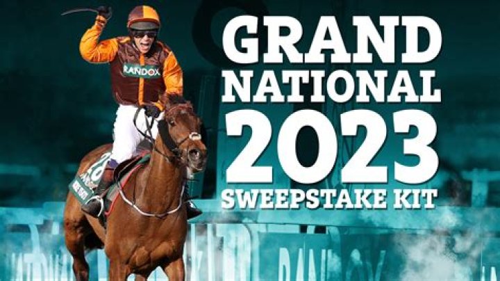 Grand National 2023 sweepstake kit: Print your FREE runners list for Saturday's big race NOW