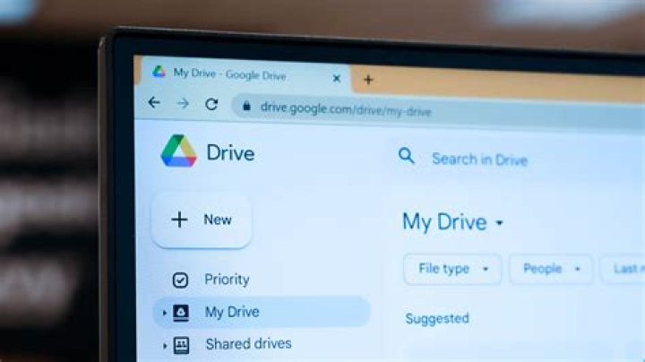 Gypsy Mom Photos Released On Google Drive: Everything You Need To Know