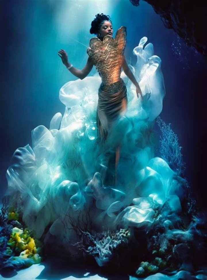 Halle Bailey’s Daring Underwater Maternity Pictures Gets Fans Talking