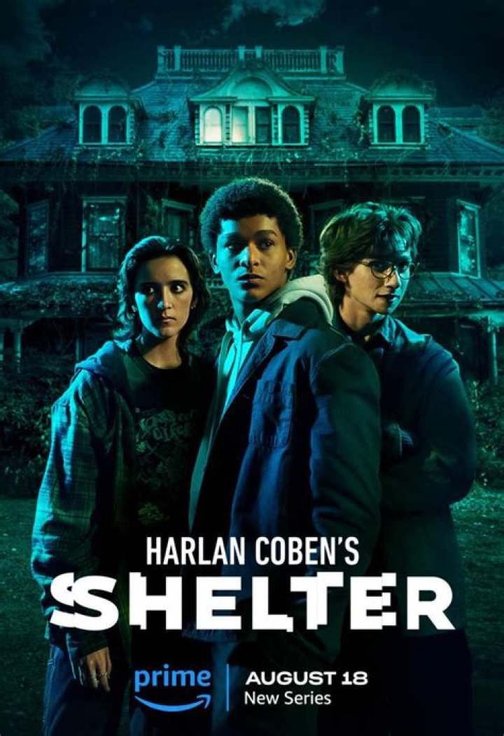 Harlan Coben's Shelter ending explained | What happened to Mickey?
