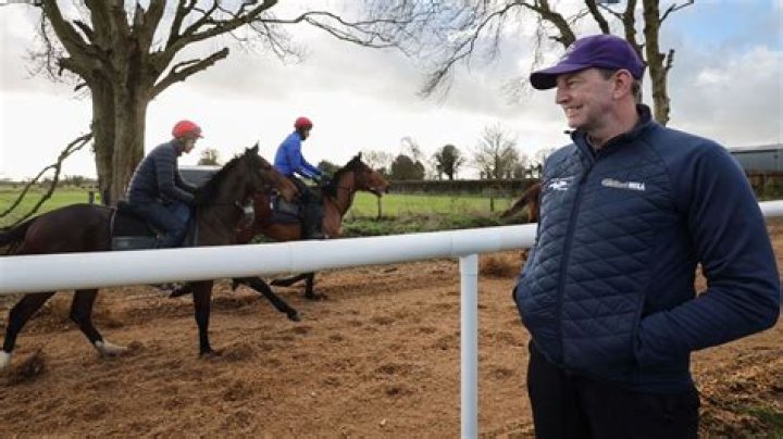 Horse racing tips: Gavin Cromwell has been awesome at Cheltenham and his 9-2 chance makes loads of appeal