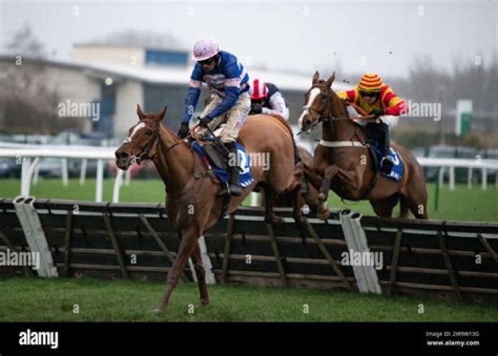 Horse racing tips: Paul Nicholls and Harry Cobden can help fire in this Taunton double