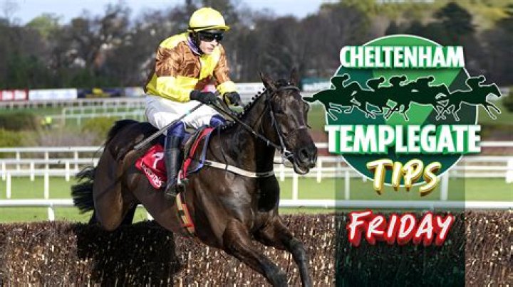 Horse racing tips: Templegate's NAP has some classy form and should be hard to beat at Lingfield