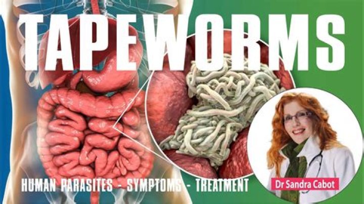 How 'Tapeworm' Episode Reveals the Ugly Side of Fashion and Fame