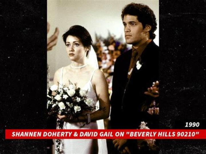 How Did David Gail Die? Exploring Beverly Hills 90210 Star's Cause Of Death Amid Investigation