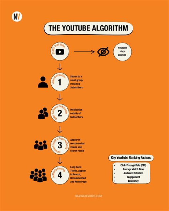 How does the youtube algorithm work