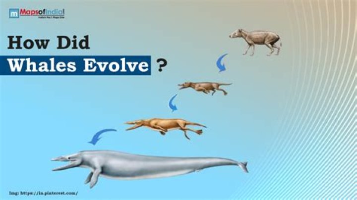 How Leisure Activities Have Evolved Over Time