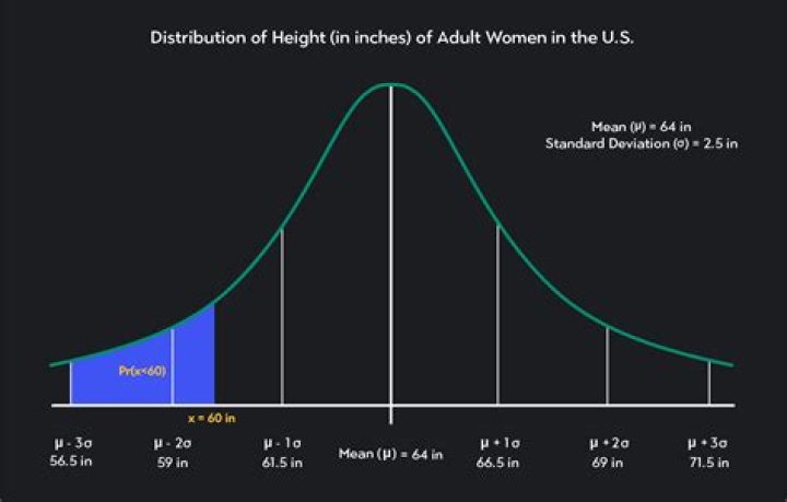 How Tall Is Blaire White? Discovering The Height Of A Prominent Internet Personality