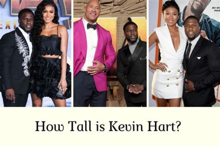 How Tall Is Kevin James? Unveiling The Height Of The Beloved Comedian