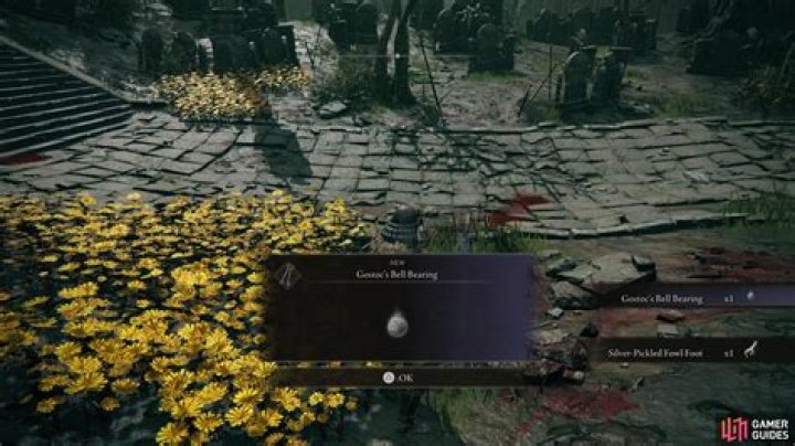 How to Find Gatekeeper Gostoc and Complete His Quest