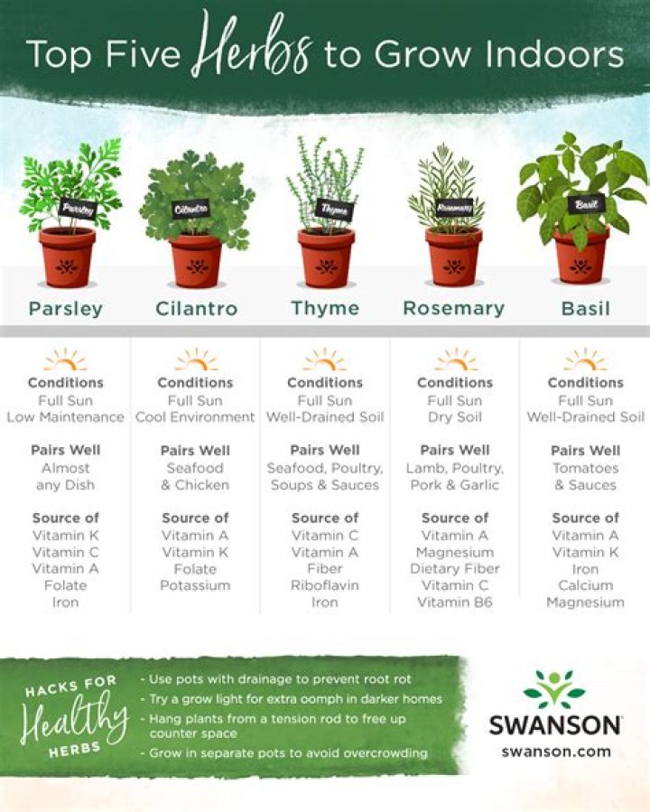How to grow herbs