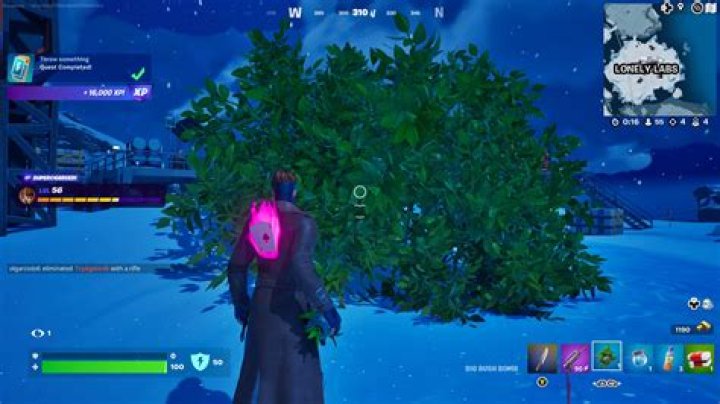 How to Hide in Bushes that You Threw Down in Fortnite
