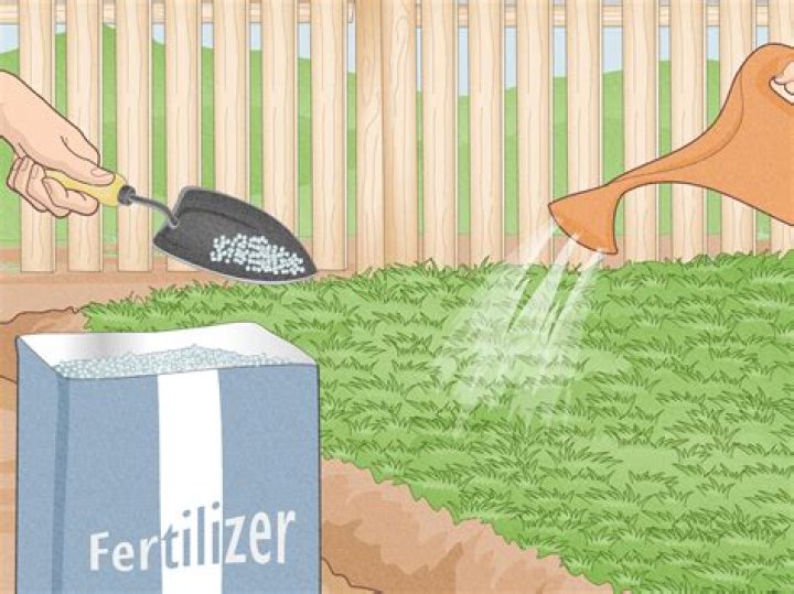 How to keep landscape grasses from spreading